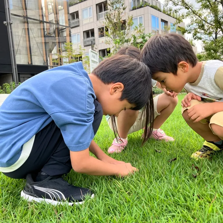 STEAM教育イメージ2